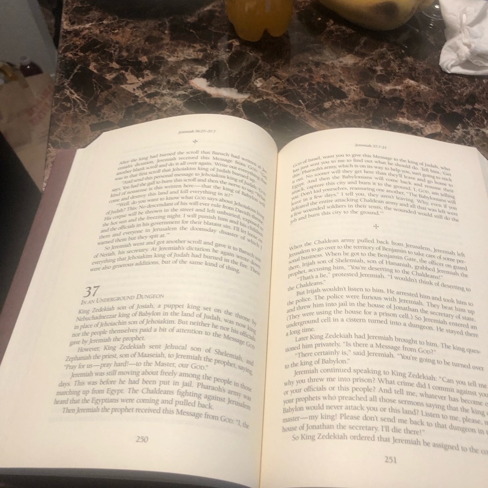 The Message the Old Testament Prophets by Peterson 2000 - Picture 11 of 15